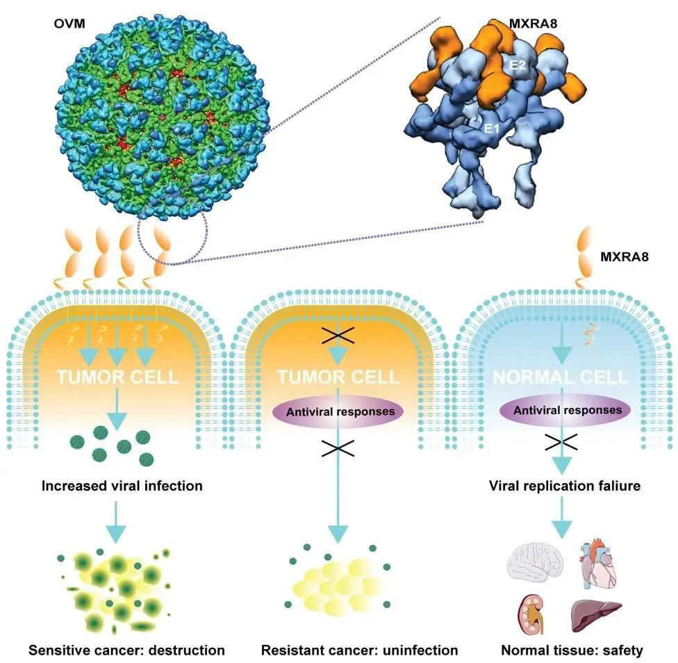 ɳ��(�й�)��վ���޹�˾����