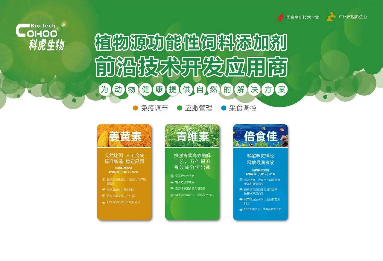 ɳ��(�й�)��վ���޹�˾����