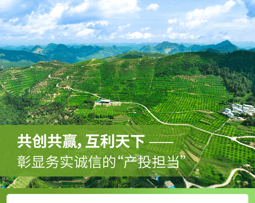 ɳ��(�й�)��վ���޹�˾����