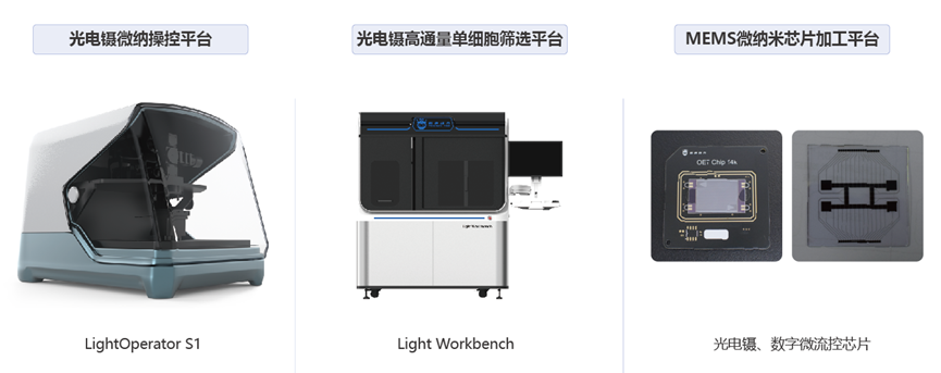 ɳ��(�й�)��վ���޹�˾����