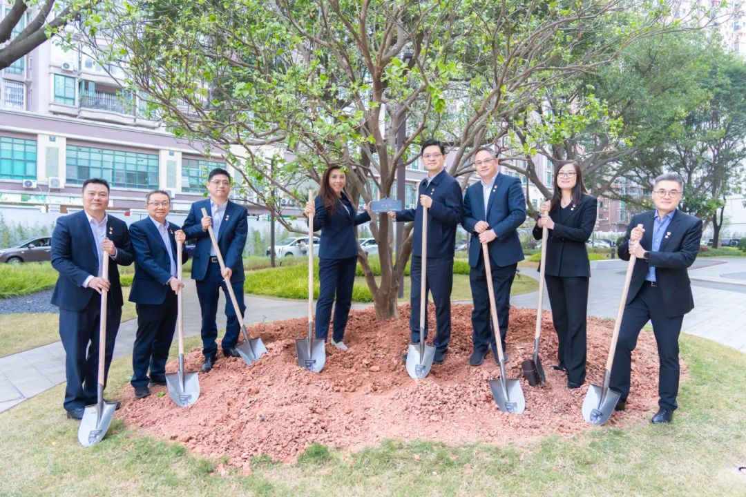 ɳ��(�й�)��վ���޹�˾����