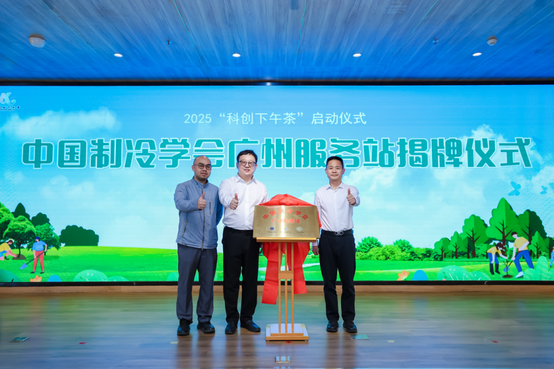 ɳ��(�й�)��վ���޹�˾����